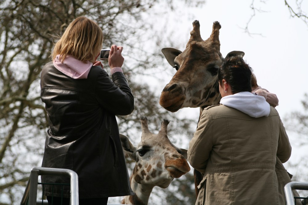 Hamburg Hagenbeck Zoo