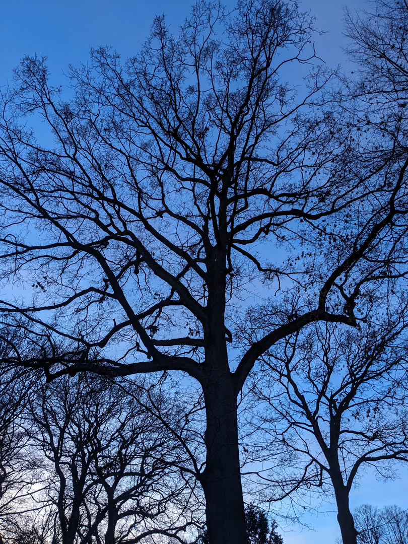 Hamburg Hammer Park nach Sonnenuntergang