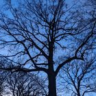 Hamburg Hammer Park nach Sonnenuntergang