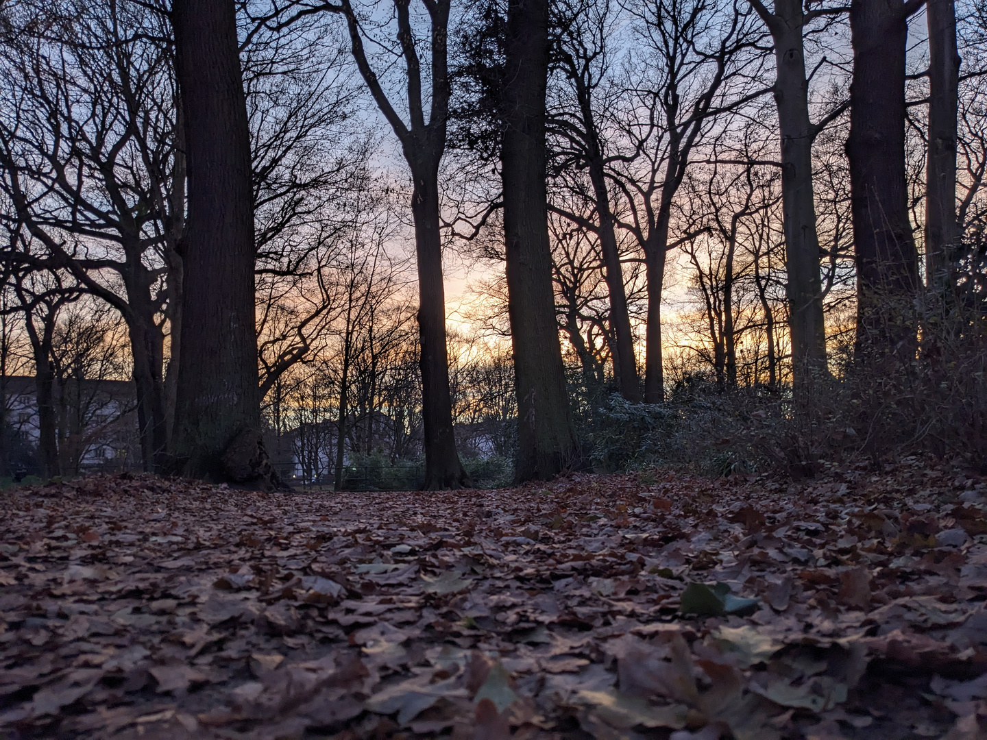 Hamburg Hammer Park nach Sonnenuntergang