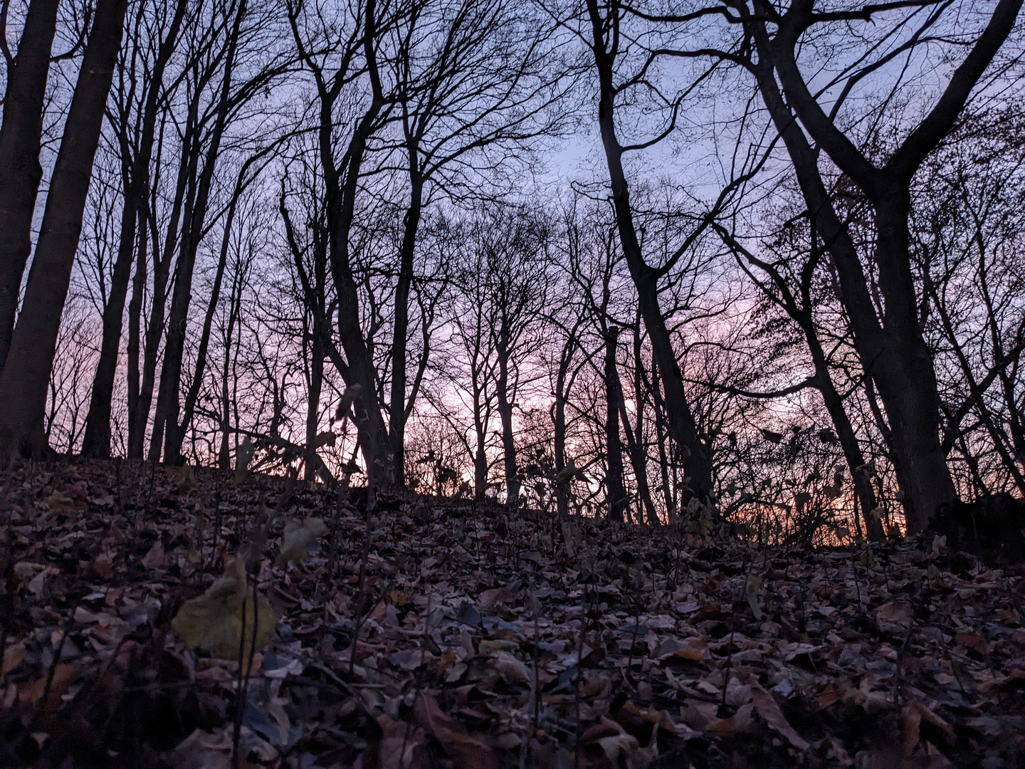 Hamburg Hammer Park nach Sonnenuntergang