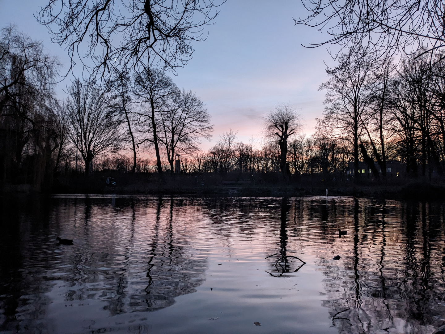 Hamburg Hammer Park nach Sonnenuntergang