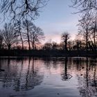 Hamburg Hammer Park nach Sonnenuntergang