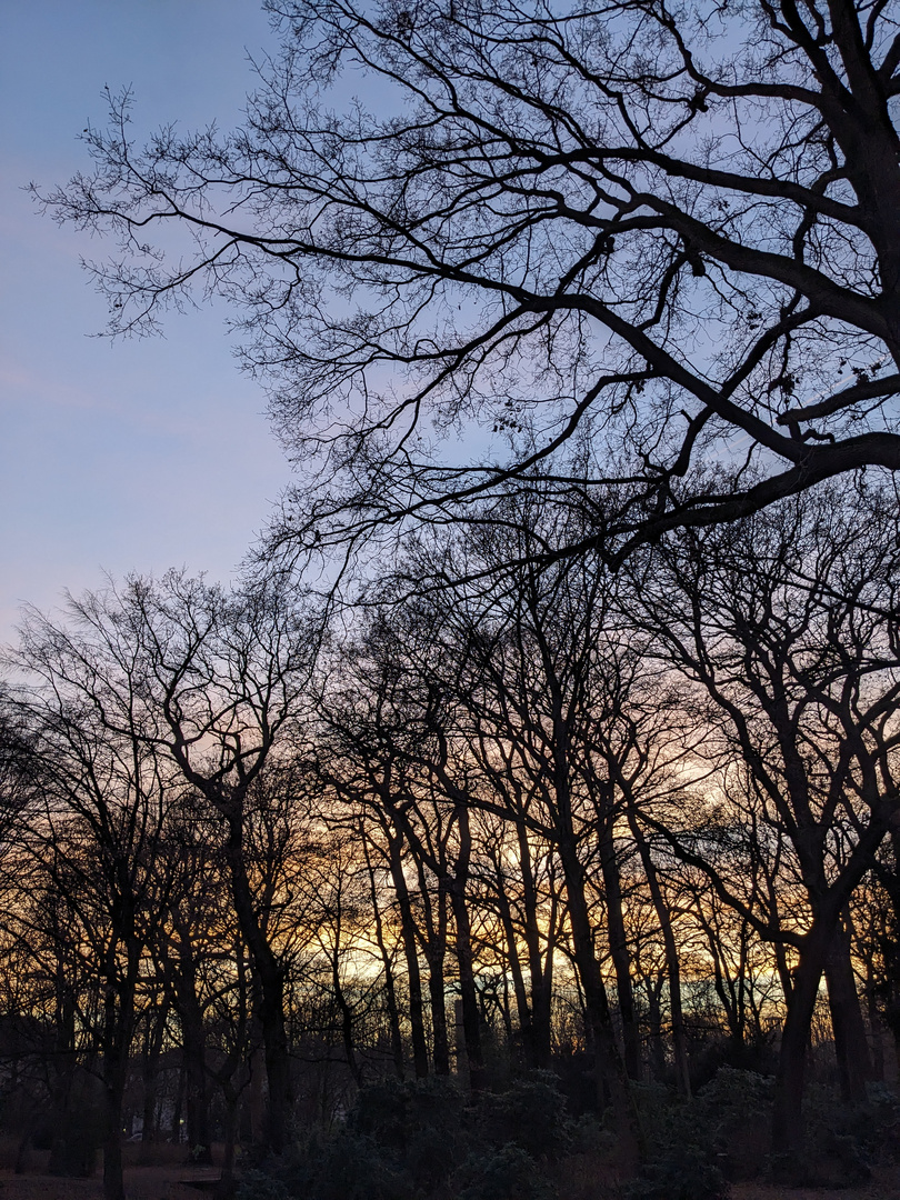 Hamburg Hammer Park nach Sonnenuntergang