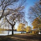 Hamburg Herbst Alster