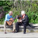 Hamburg - Idylle am Wegesrand