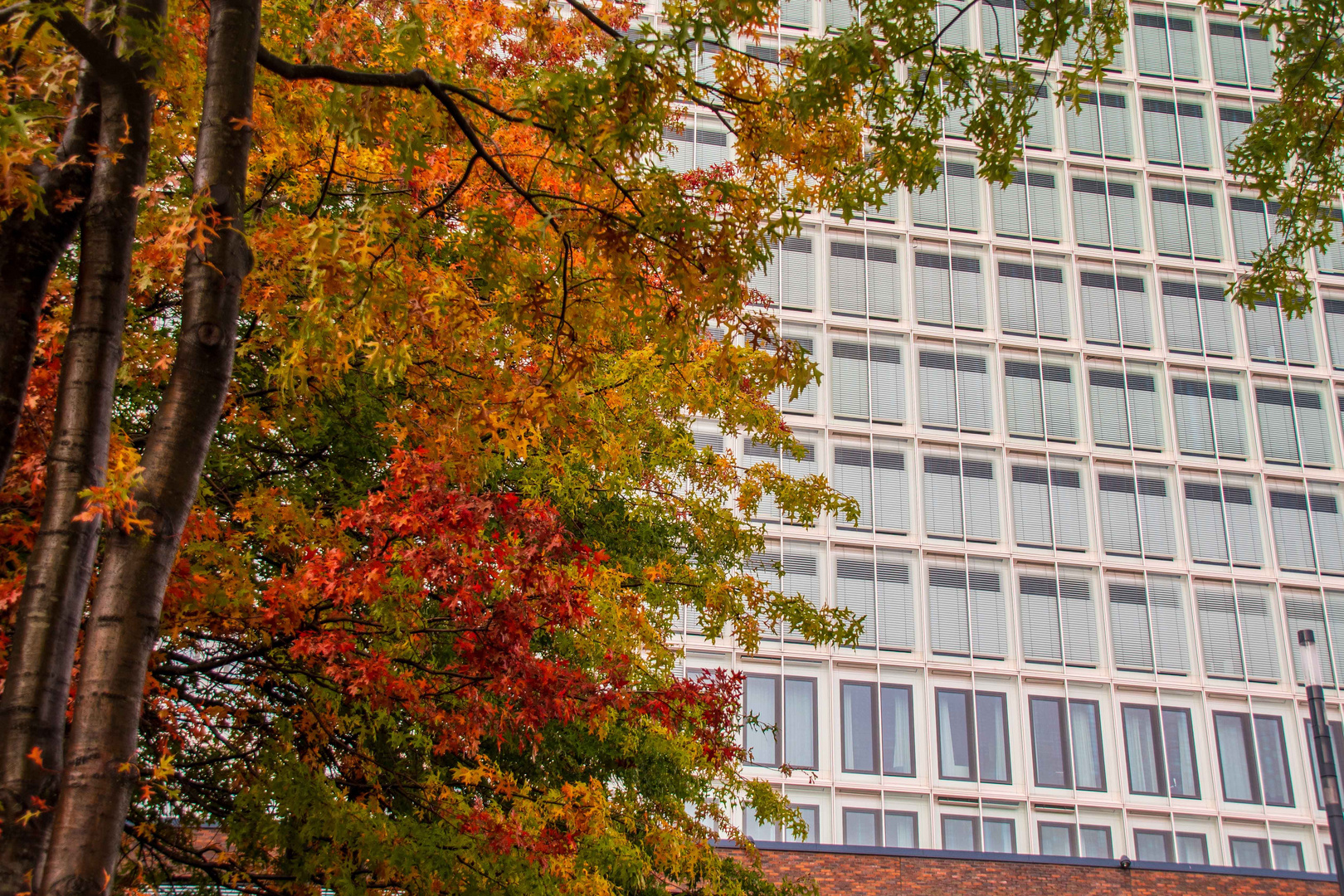 Hamburg im Herbst