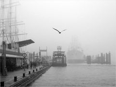 Hamburg im Nebel (2)