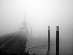 Hamburg im Nebel (6)