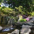 HAMBURG - IM PARK PLANTEN UN BLOMEN MAI 2014