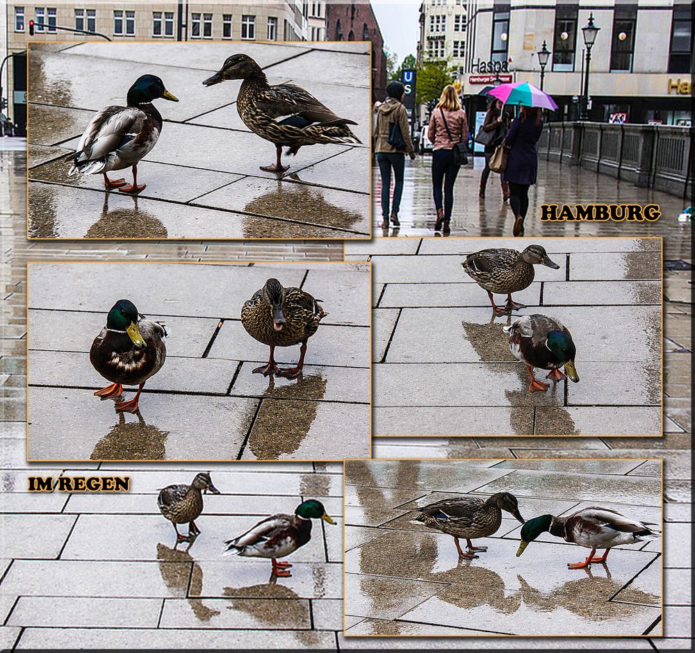 HAMBURG IM REGEN