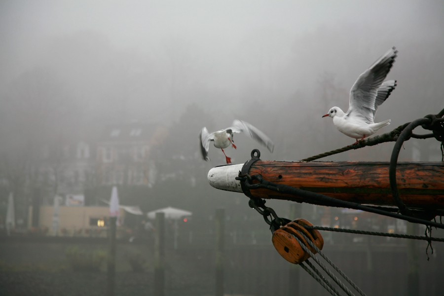 Hamburg, in diesem wunderschönen Grau