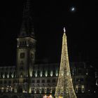 Hamburg in Weihnachtsstimmung