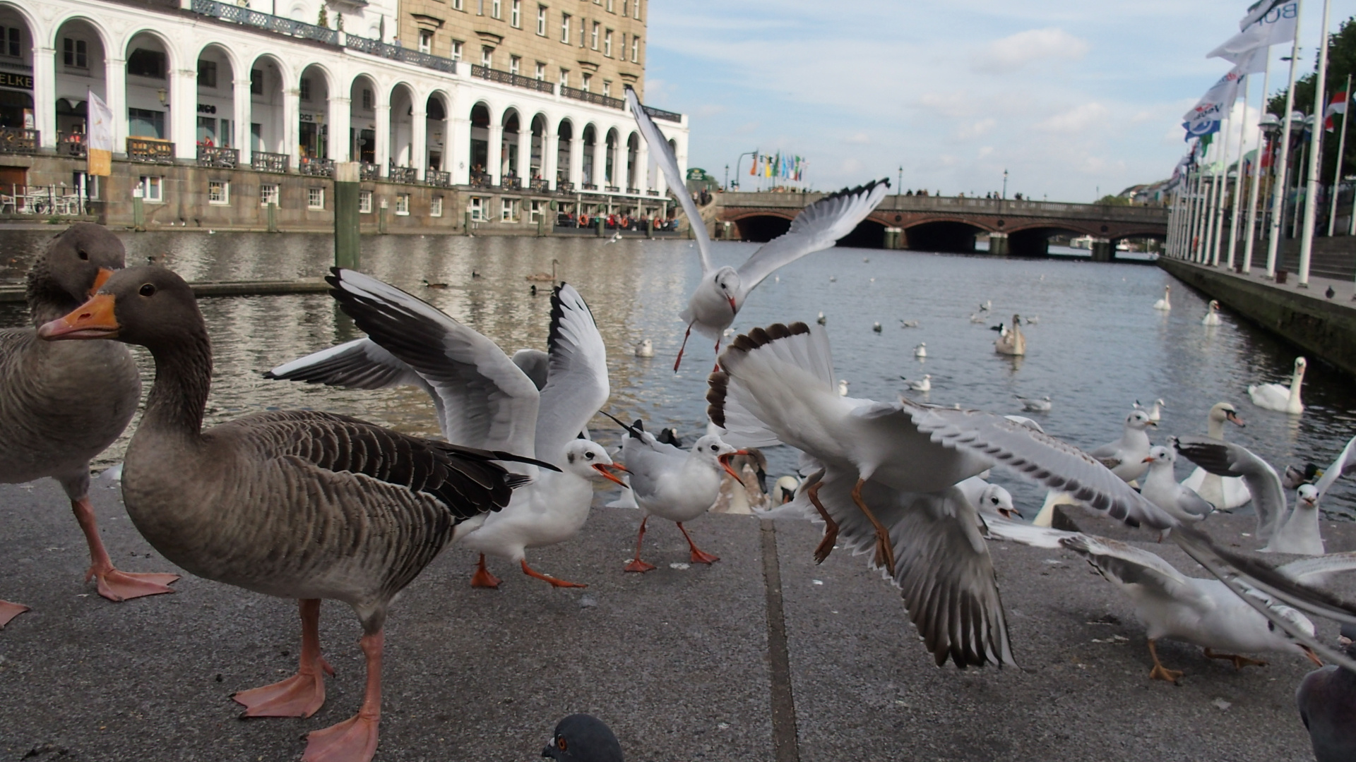 Hamburg Innenalster