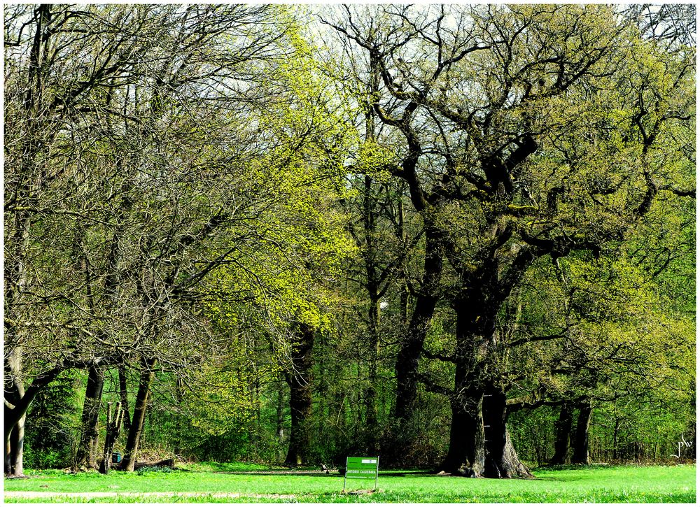 Hamburg .- Jenischpark Foto & Bild | deutschland, europe, hamburg ...