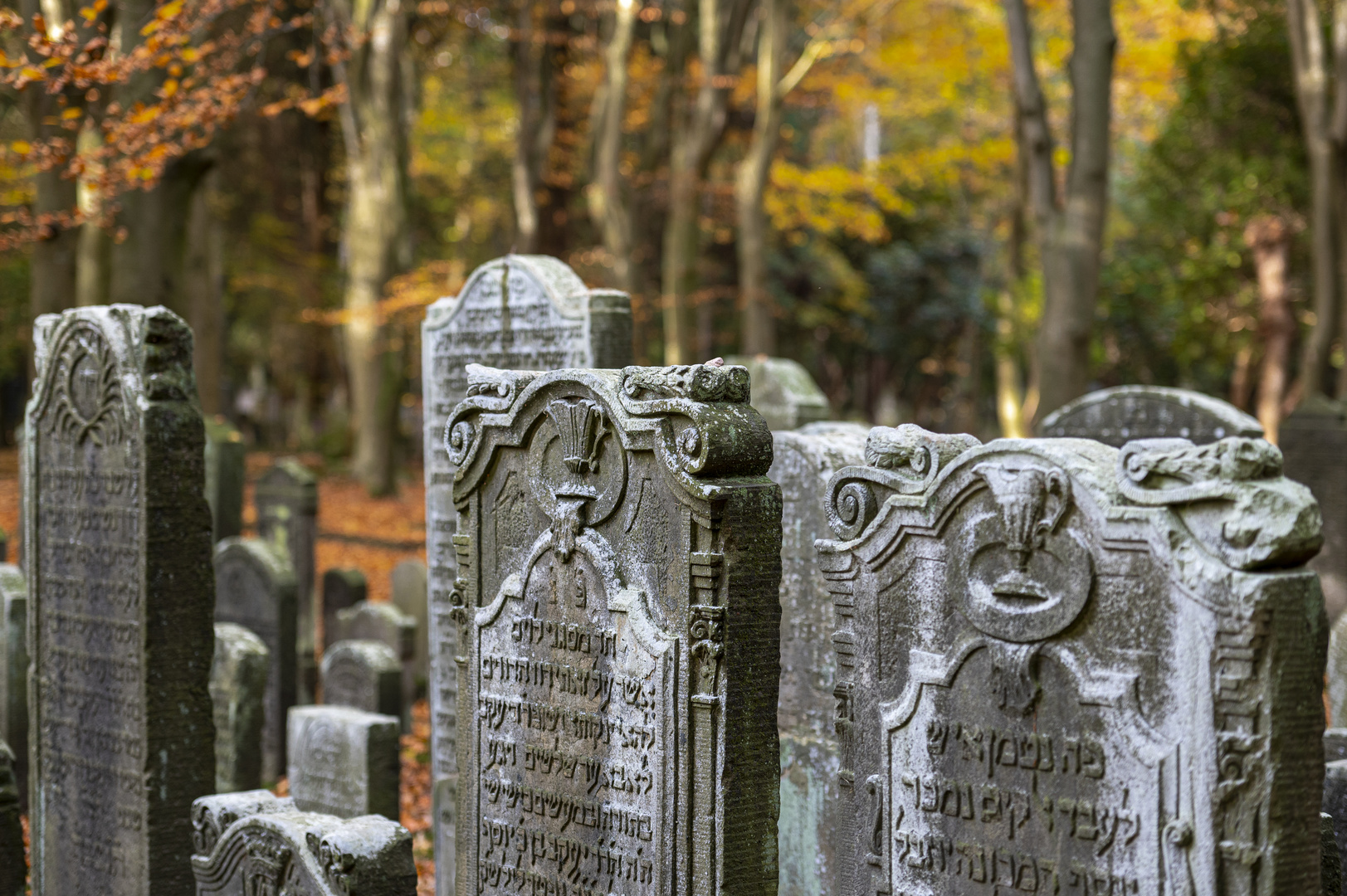 Hamburg jüdischer Friedhof Ohlsdorf