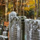 Hamburg jüdischer Friedhof Ohlsdorf