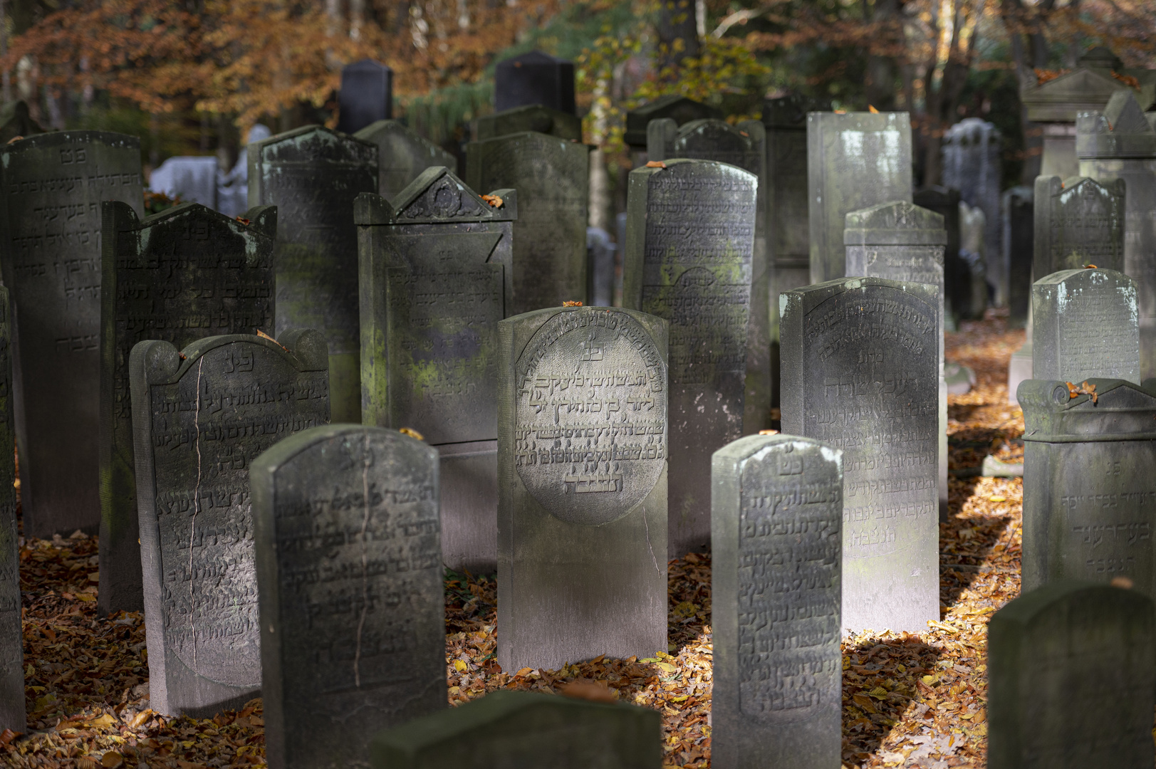 Hamburg jüdischer Friedhof Ohlsdorf