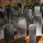 Hamburg jüdischer Friedhof Ohlsdorf