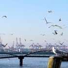 Hamburg-Landungsbrücke