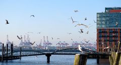 Hamburg-Landungsbrücke