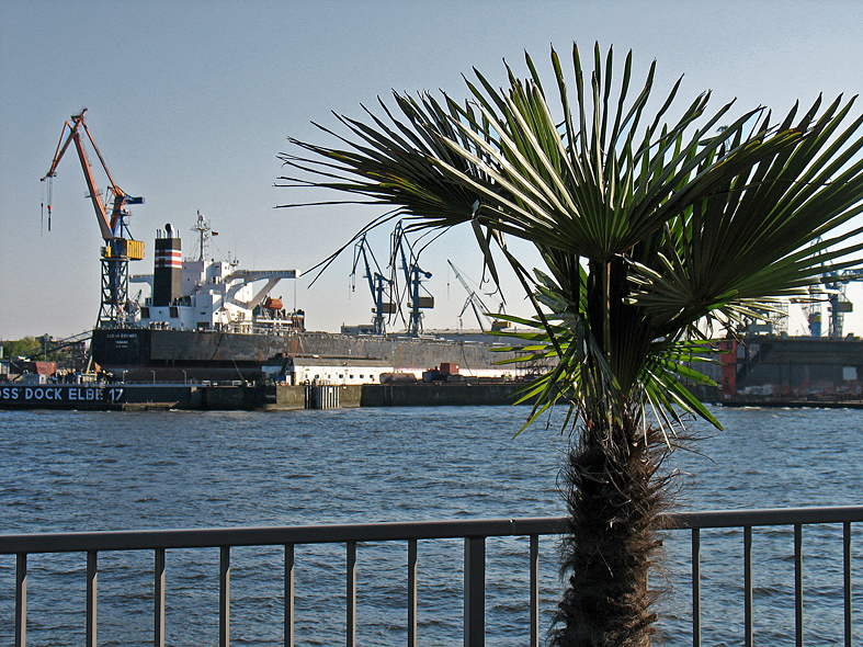 Hamburg mediterran