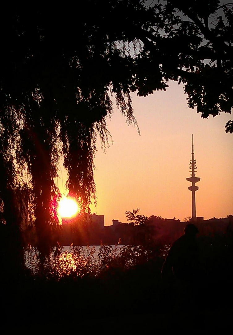 Hamburg, meine (Alster-)Perle