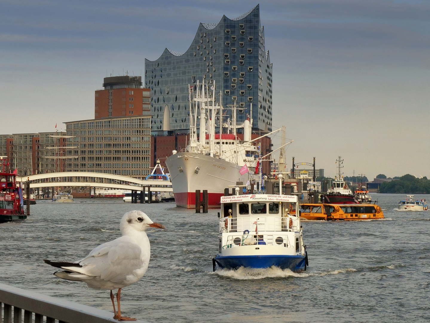 Hamburg meine Perle