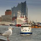 Hamburg meine Perle