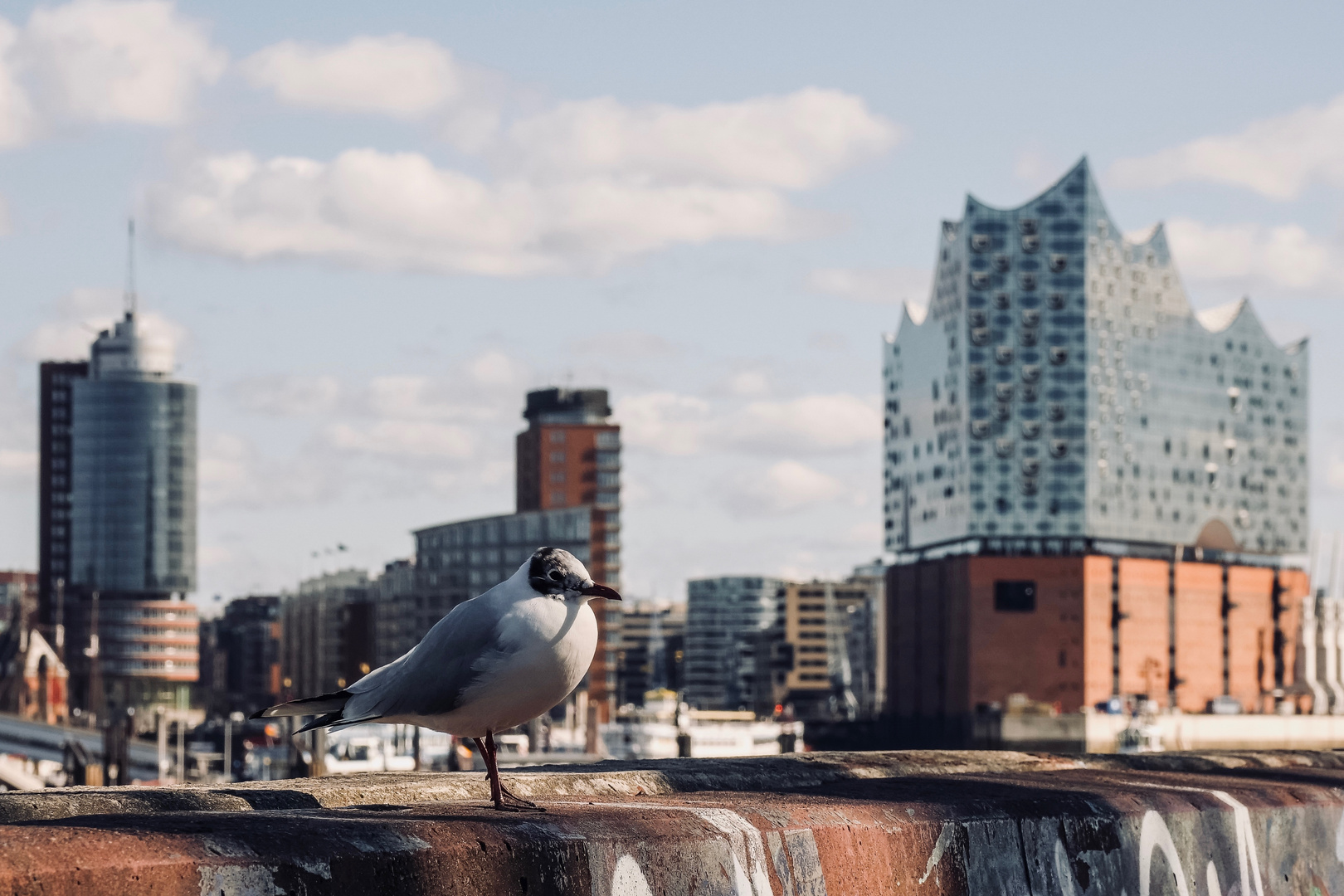 Hamburg meine Perle