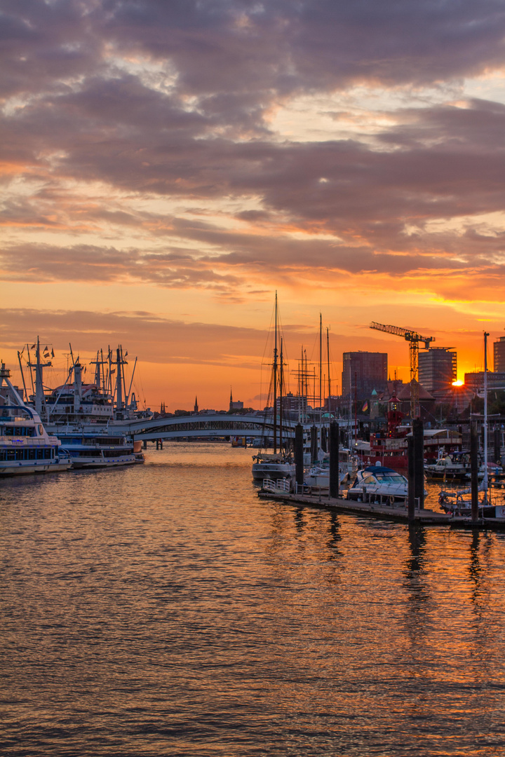 Hamburg Niederhafen