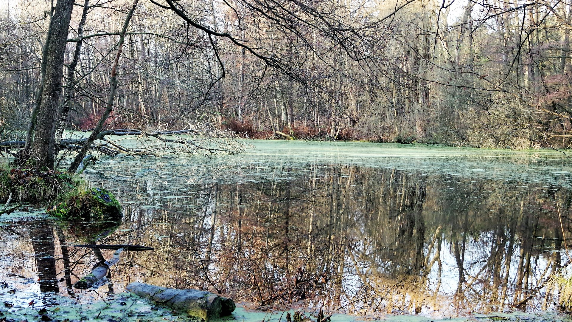 Hamburg Oberalster