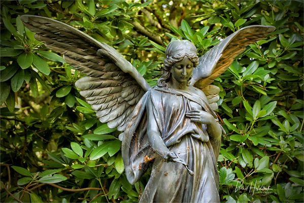 Hamburg .... Ohlsdorf