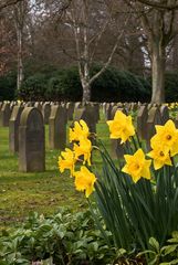 Hamburg Ohlsdorf Friedhof 3