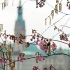 Hamburg - Rathaus