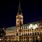 Hamburg Rathaus im März - Hamburg City Hall