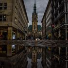 Hamburg Rathaus Reflexion