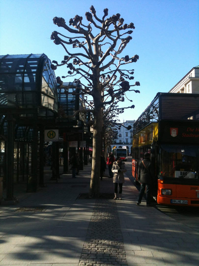 Hamburg Rathausplatz