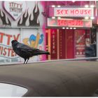 Hamburg-Rotlicht: "THE CROW" / "Keine Schwalbe weit und breit""