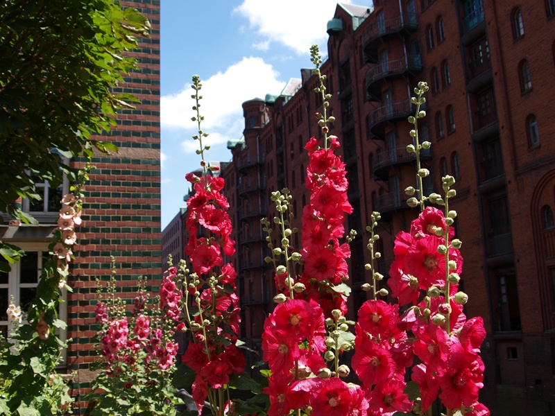 Hamburg Speicherstadt