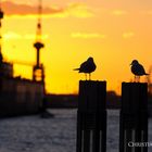 Hamburg Sunset