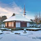 Hamburg, Teehaus im Park Planten un Blomen