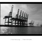 Hamburg Terminal