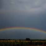 Hamburg unter dem Regenbogen