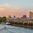 Hamburg vom Freihafen aus