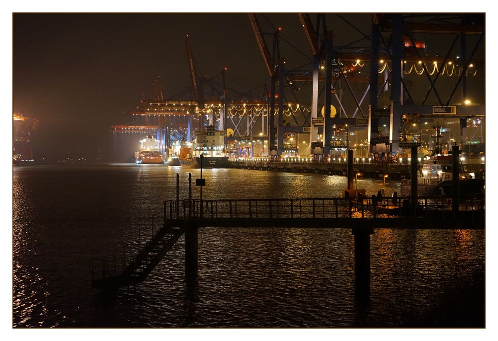 Hamburg Waltershofer Hafen