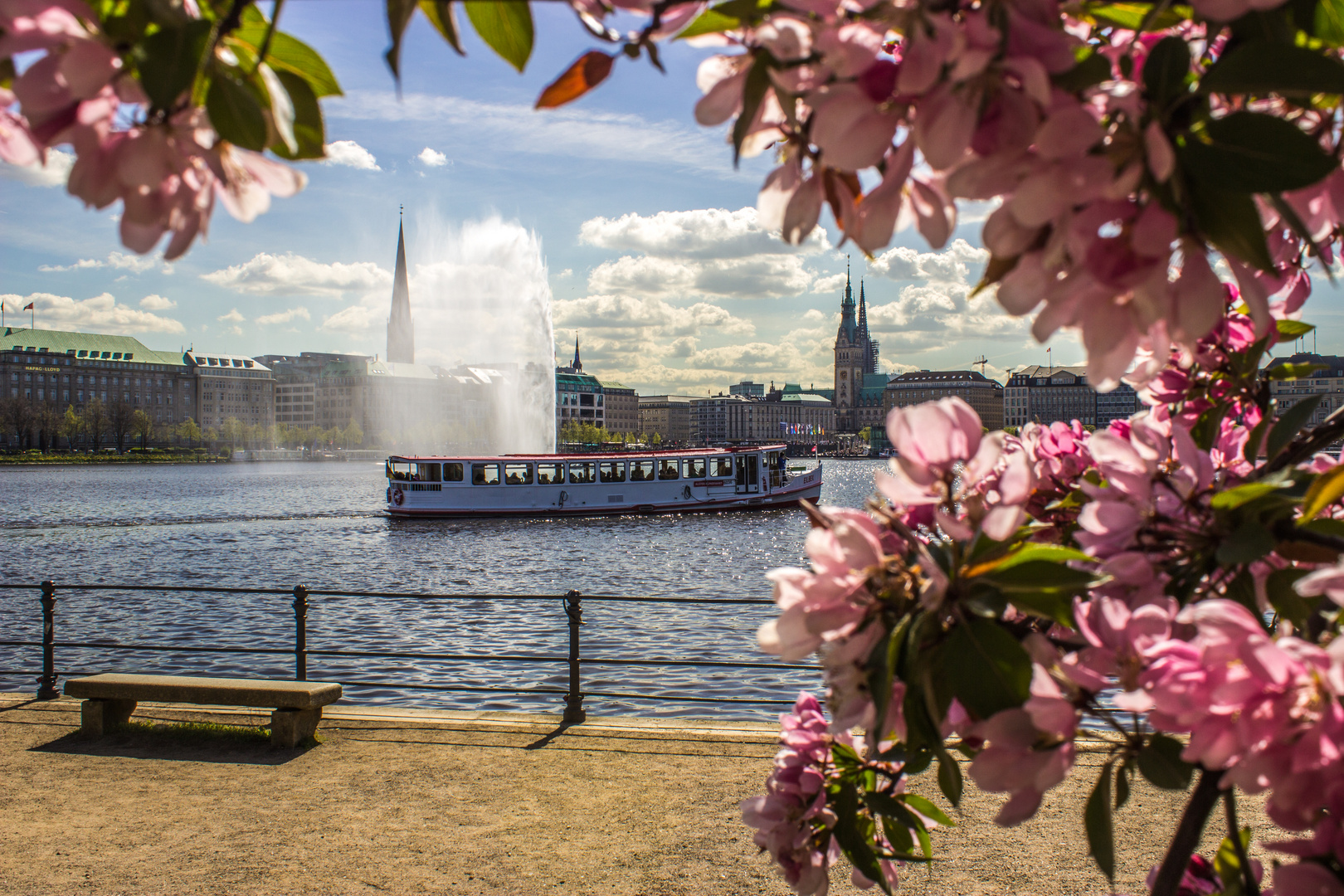 Hamburger Alster bei Strahlenden Sonnenschein