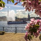 Hamburger Alster bei Strahlenden Sonnenschein