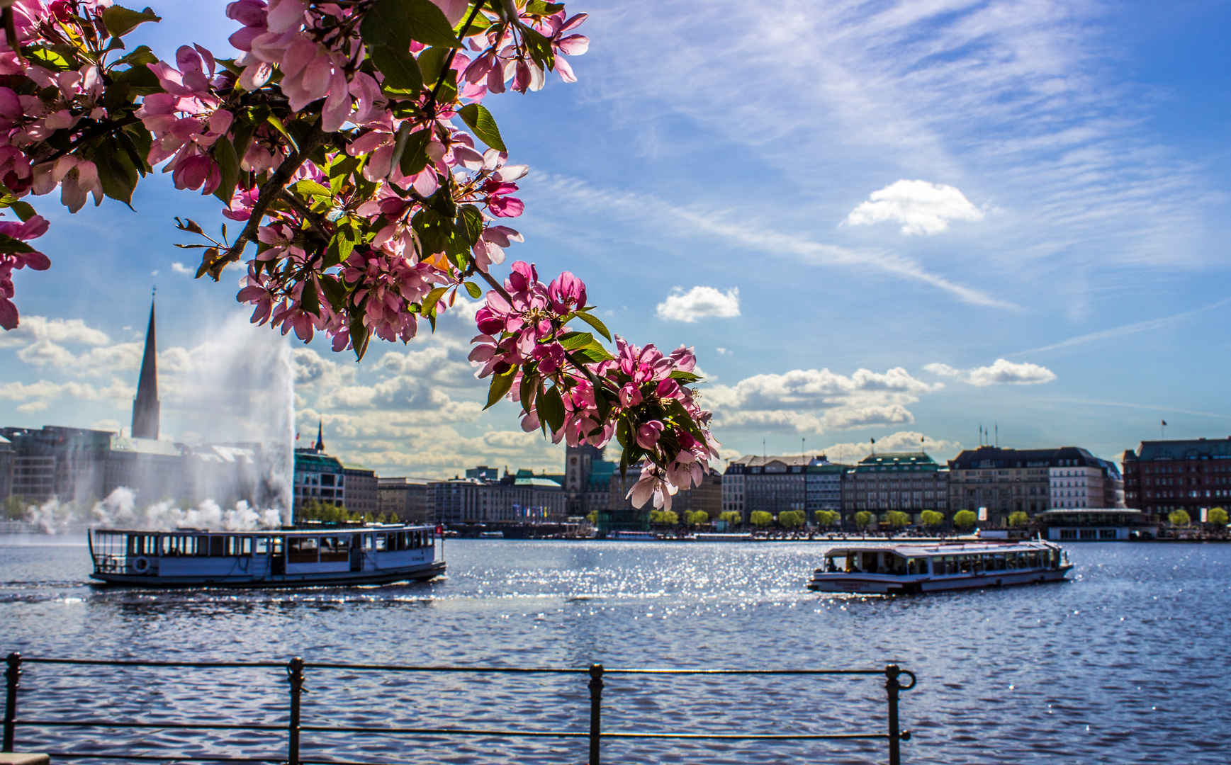 Hamburger Alster zur Kirschblüten Zeit