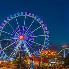 Hamburger Dom bei Nacht